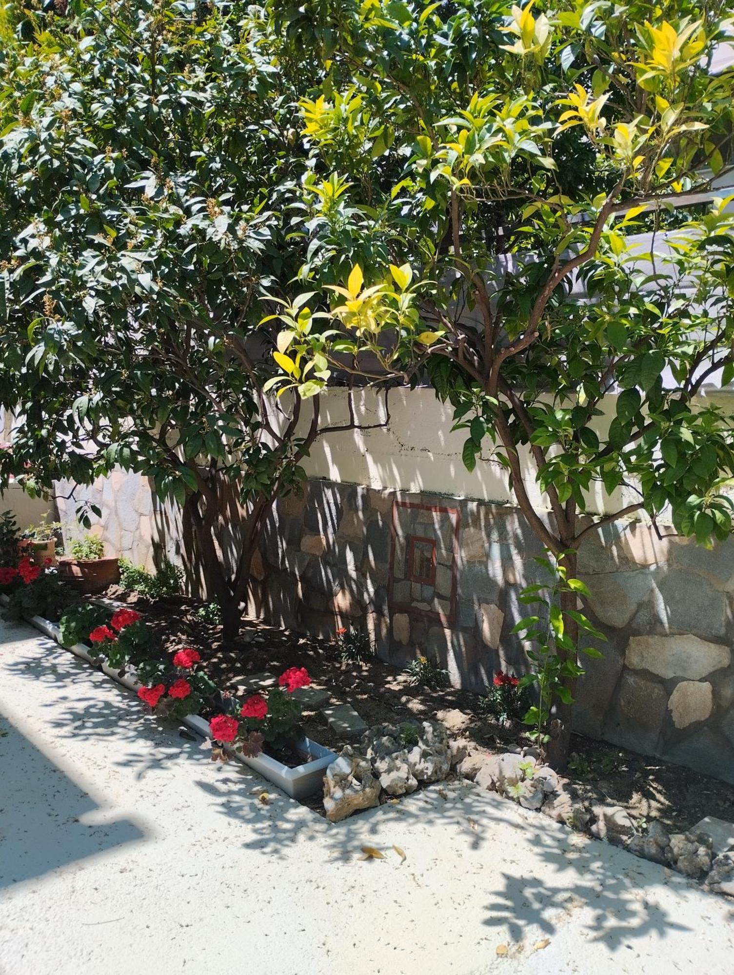Strati'S Place PalaiónTsiflíkion 外观 照片